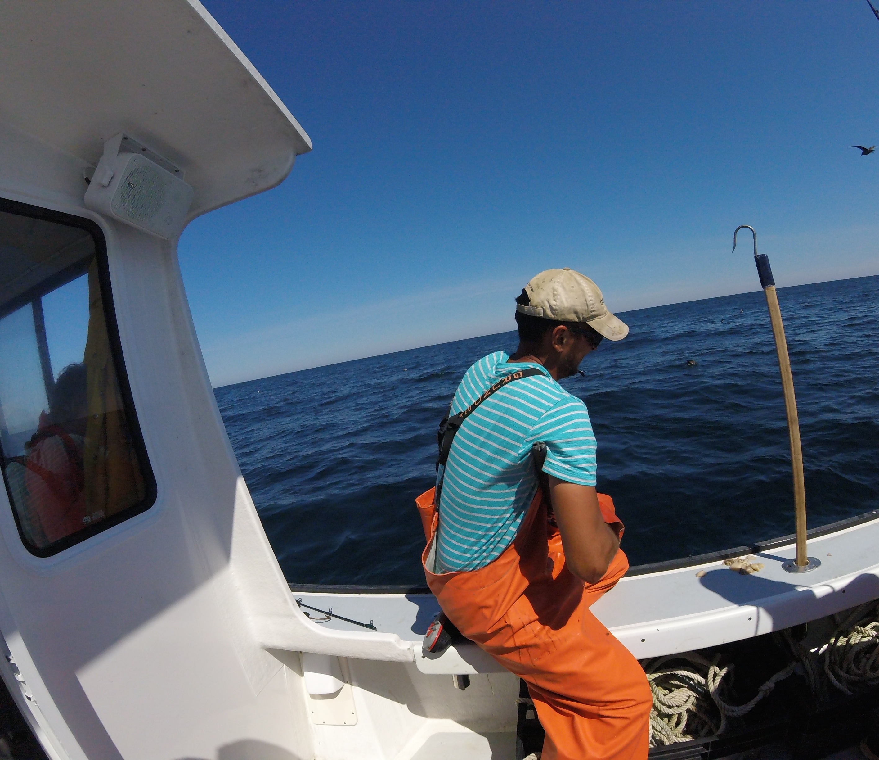 Day in the Life of a New England Groundfish Fisherman